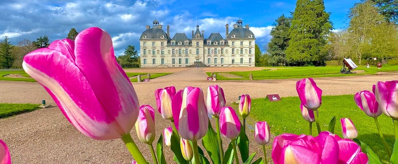 Avril à Cheverny : tulipes et décorations !